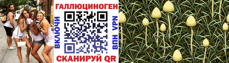 Псилоцибиновые грибы мицелий  наркошоп  мориарти телеграм  Петухово 